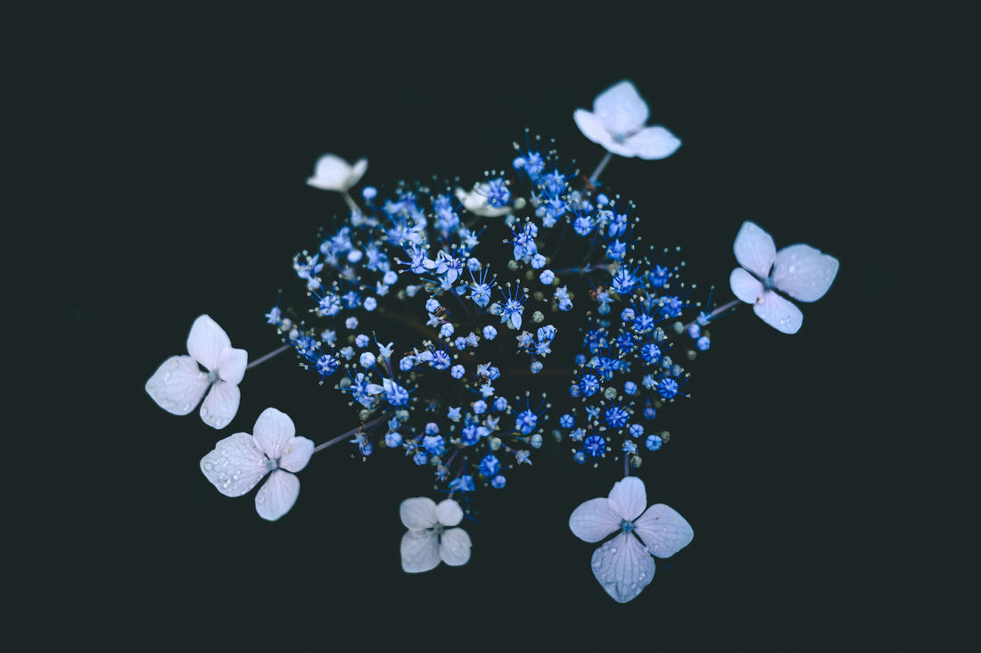 Why Daily Multivitamins Are Essential for Your Health in 2025 – A Complete Guide